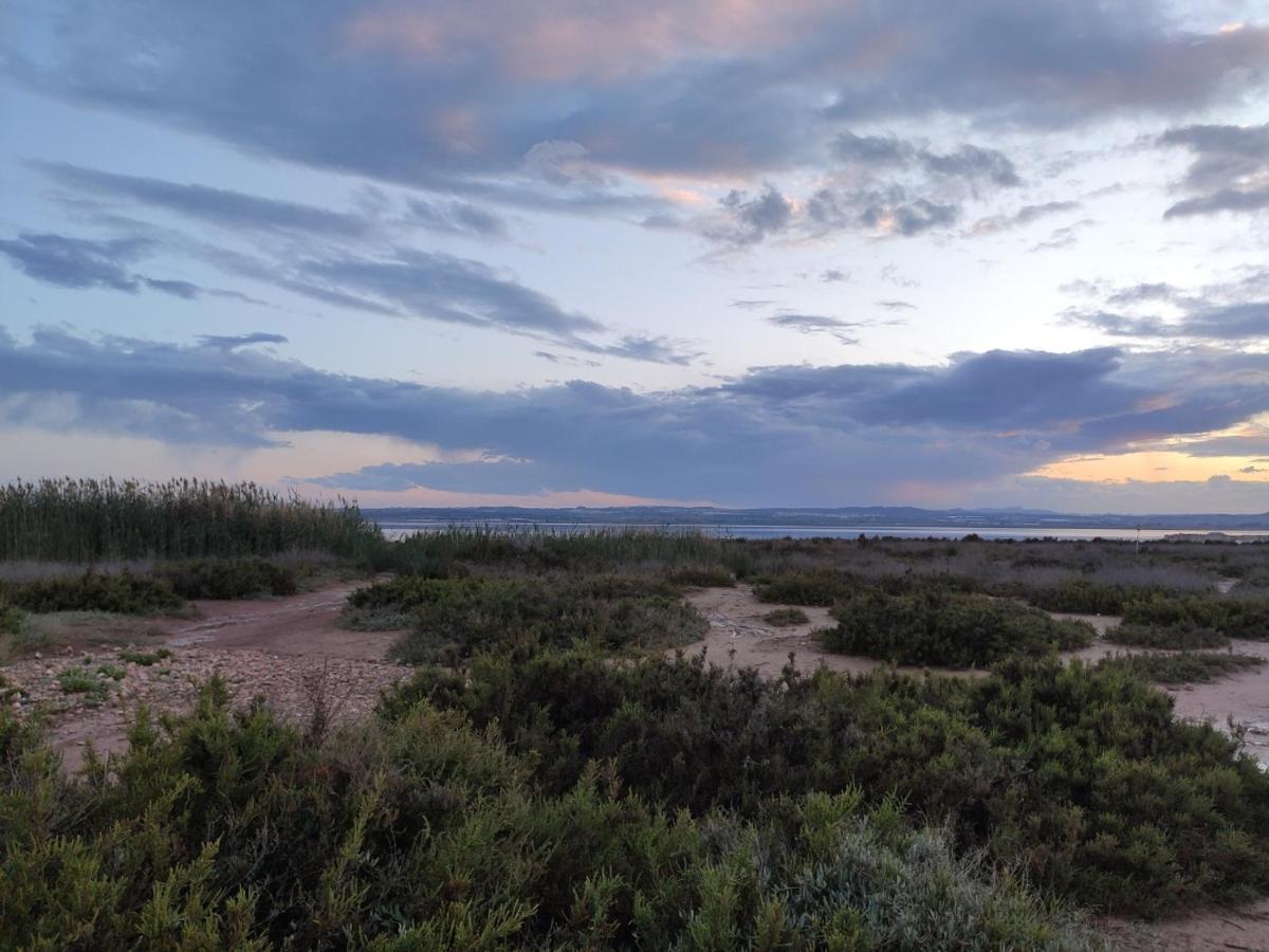 Apartamento Torre Zeus, La Mata, Torrevieja Eksteriør bilde